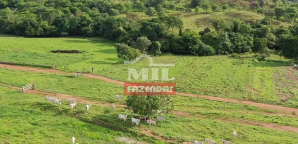 Fazenda/Sítio à venda, 700000000m² no , Padre Bernardo