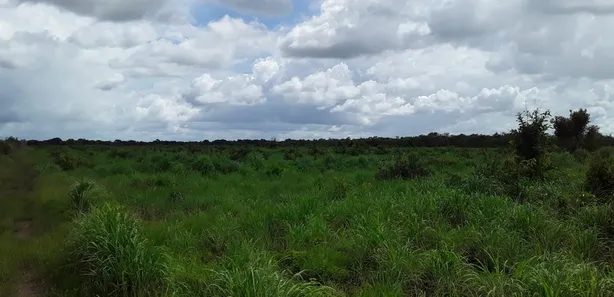Fazenda/Sítio com 1 Quarto à venda, 484000000m² no , Babaçulândia