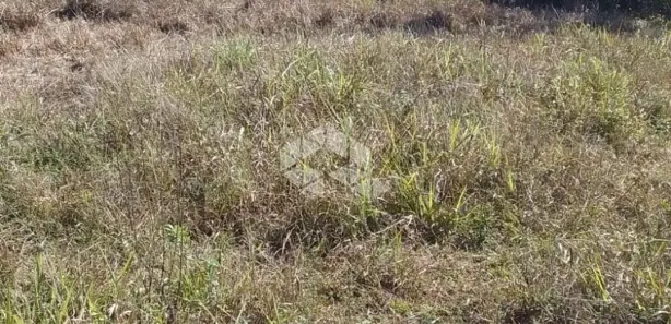 Lote/Terreno à venda, 364m² no , Presidente Lucena
