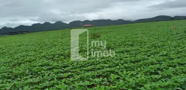 Fazenda/Sítio com 3 Quartos à venda, 190m² no , Niquelândia