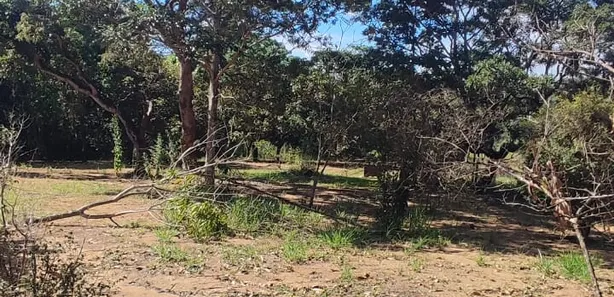 Fazenda/Sítio com 1 Quarto à venda, 10000m² no Chácaras Ipanema, Valparaíso de Goiás