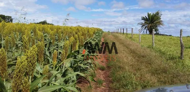 Fazenda/Sítio à venda, 5008300m² no Centro, Leopoldo de Bulhões