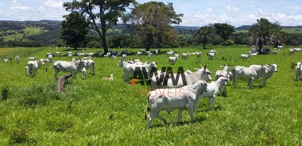 Fazenda/Sítio à venda, 5008300m² no Centro, Leopoldo de Bulhões