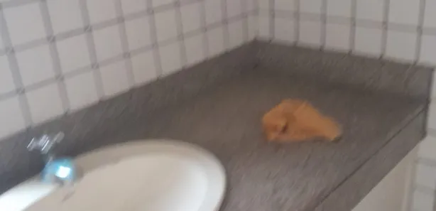 Sala Comercial à venda, 28m² no Brotas, Salvador