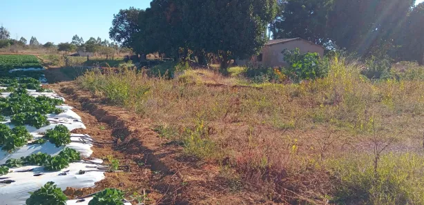 Fazenda/Sítio com 3 Quartos à venda, 220000m² no , Brasília