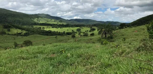 Fazenda/Sítio à venda, 10164000m² no , São Luiz do Norte