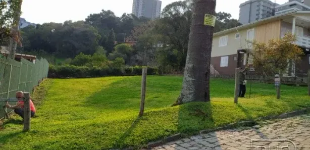 Lote/Terreno à venda, 558m² no Cruzeiro, Caxias do Sul