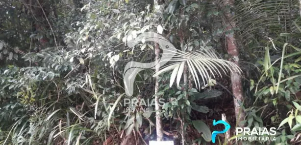 Lote/Terreno à venda, 1500m² no Balneario Praia do Perequê, Guarujá