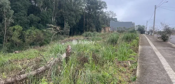 Lote/Terreno à venda, 420m² no Universitário, Bento Gonçalves