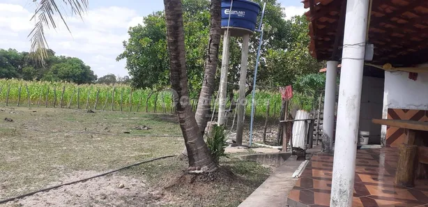 Fazenda/Sítio com 3 Quartos à venda, 10m² no , José de Freitas