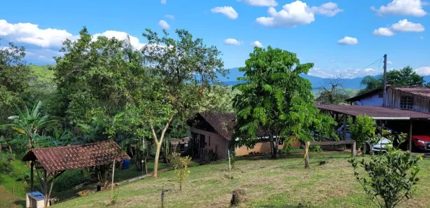 Fazenda/Sítio com 3 Quartos à venda, 100000m² no Antonina, Antonina