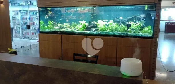 Ponto Comercial para alugar, 30m² no Ipanema, Rio de Janeiro
