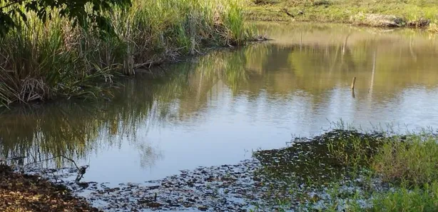 Fazenda/Sítio com 5 Quartos à venda, 96000m² no Área Rural de Iacanga, Iacanga