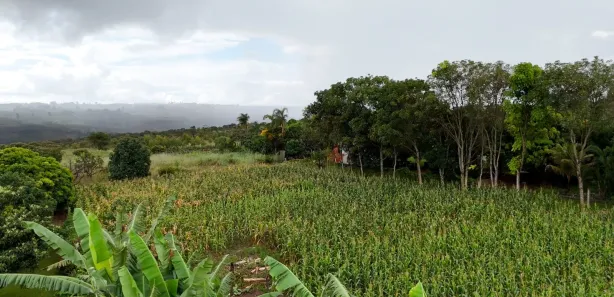 Fazenda/Sítio com 6 Quartos à venda, 540m² no , Brasília