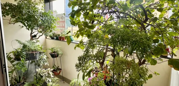 Apartamento com 3 Quartos à venda, 101m² no Funcionários, Belo Horizonte