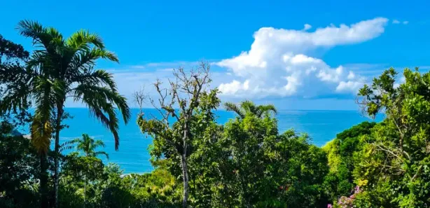 Casa com 4 Quartos para venda ou aluguel, 800m² no , Guarujá