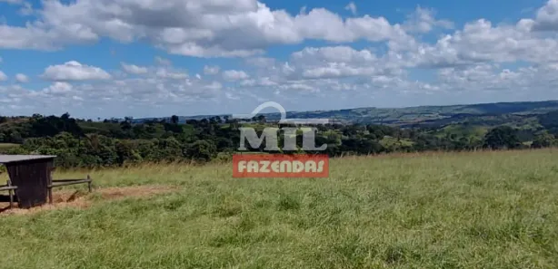 Fazenda/Sítio à venda, 500m² no , Campo Limpo de Goiás