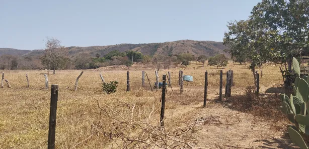 Fazenda/Sítio à venda no , Buritis