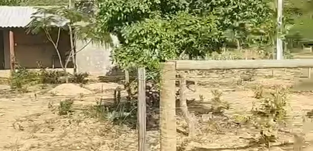 Fazenda/Sítio à venda no , Buritis