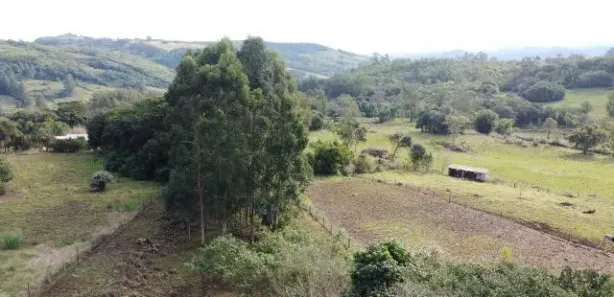 Fazenda/Sítio com 2 Quartos à venda, 25000m² no , Caraá