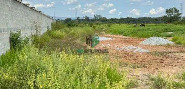 Galpão/Depósito/Armazém para alugar, 8000m² no Parque Industrial de Betim, Betim
