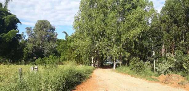Lote/Terreno à venda, 20000m² no , Araçaí