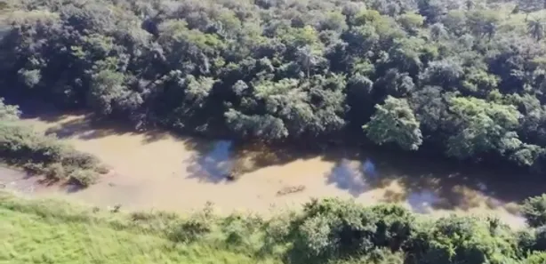 Fazenda/Sítio à venda no , Buritis