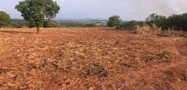 Fazenda/Sítio à venda, 1m² no , São Luíz do Norte