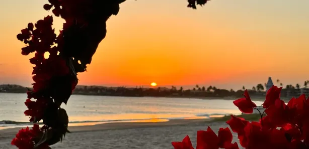 Casa com 5 Quartos à venda, 250m² no Ponta de Serrambi, Ipojuca