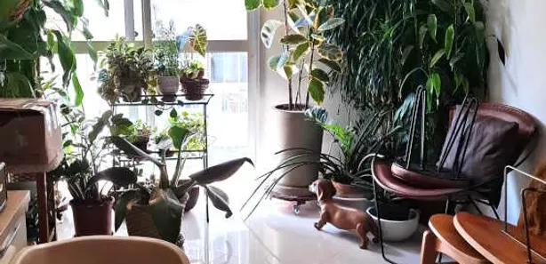 Apartamento com 2 Quartos à venda, 78m² no Jardim Botânico, Rio de Janeiro