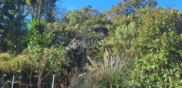 Lote/Terreno à venda, 3000m² no Cruzeiro, Caxias do Sul