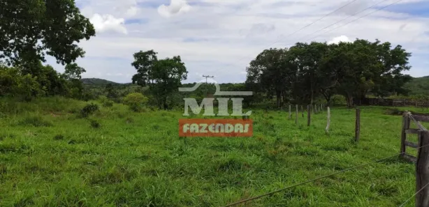 Fazenda/Sítio à venda, 2468000m² no , Jaraguá