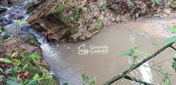 Fazenda/Sítio com 3 Quartos à venda, 4640m² no , Silvânia
