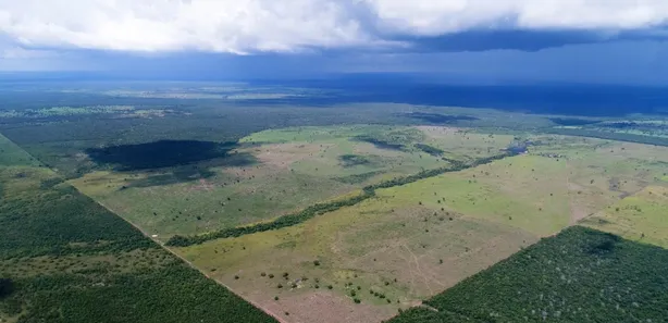 Fazenda/Sítio à venda, 10710400m² no , Dueré