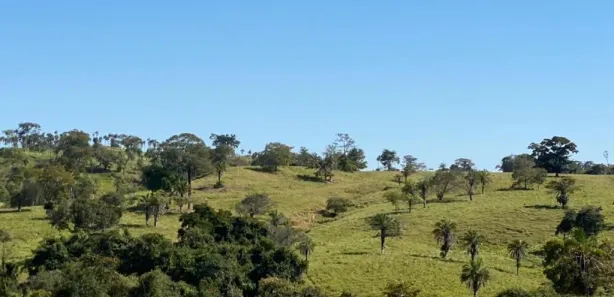 Fazenda/Sítio com 4 Quartos à venda, 2420000m² no Vila Santa Terezinha, Inhumas