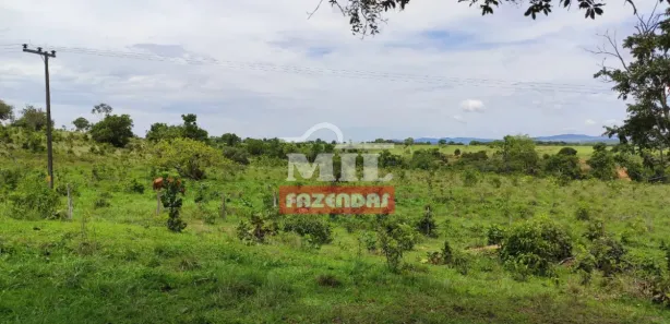 Fazenda/Sítio à venda, 500m² no , Jaraguá
