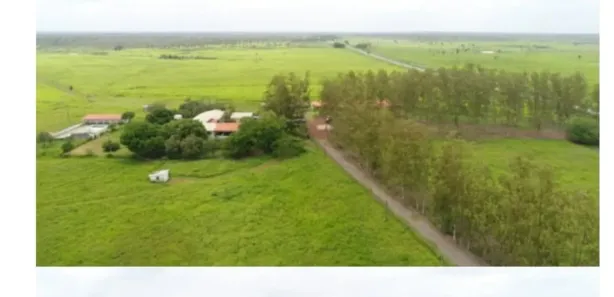 Fazenda/Sítio à venda, 6000m² no Zona Rural, Coroatá
