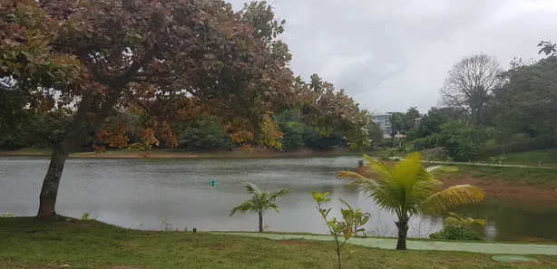 Casa com 5 Quartos à venda, 700m² no Piatã, Salvador