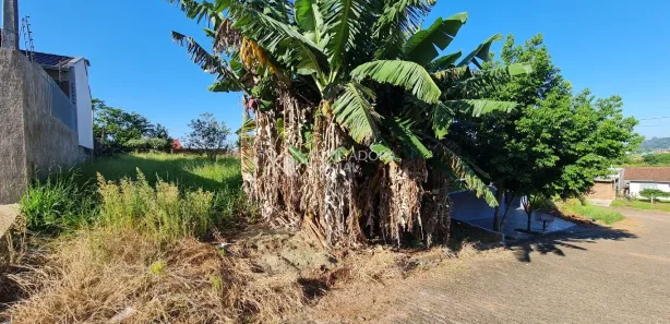Lote/Terreno à venda, 360m² no Imigrante Norte, Campo Bom