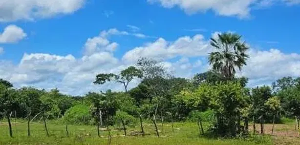 à venda, 726000m² no Paus de chapada, José de Freitas
