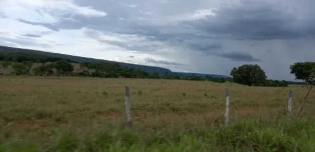 Fazenda/Sítio à venda no , Buritis
