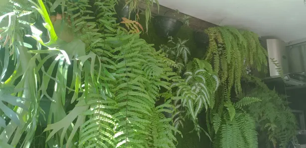Apartamento com 4 Quartos para alugar, 140m² no Dona Clara, Belo Horizonte