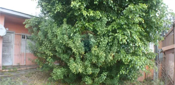 Lote/Terreno à venda, 210m² no Jardim do Bosque, Cachoeirinha