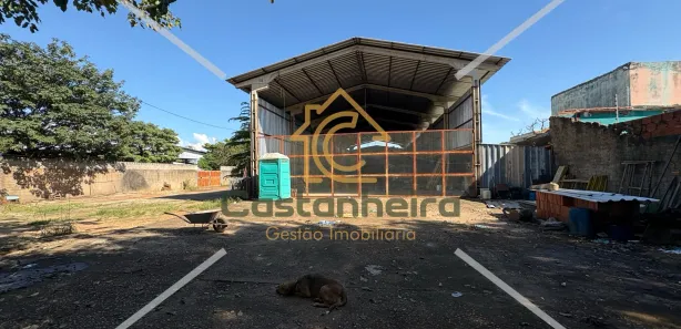 Galpão/Depósito/Armazém para alugar, 250m² no Plano Diretor Sul, Palmas