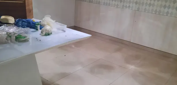 Casa de Condomínio com 4 Quartos à venda, 160m² no Plano Diretor Norte, Palmas