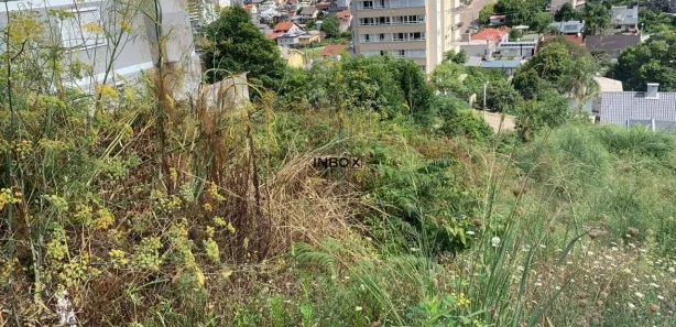 Lote/Terreno à venda, 384m² no Universitário, Bento Gonçalves