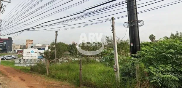 Lote/Terreno à venda, 1650m² no Vila Bom Princípio, Cachoeirinha