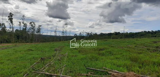 Fazenda/Sítio à venda, 20000m² no , Gameleira de Goiás