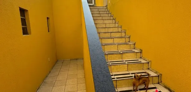 Casa com 4 Quartos à venda, 228m² no São Cristóvão, Salvador