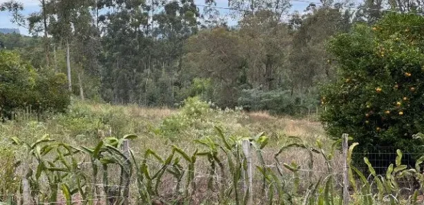 Fazenda/Sítio com 1 Quarto à venda, 10000m² no , Caraá